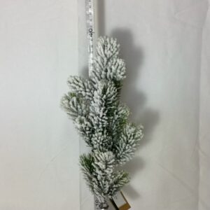 Snow Conifer Branch