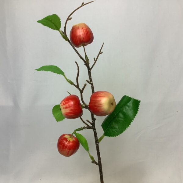 Apple (x 4 Fruit) Spray Red