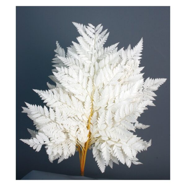 40cm Preserved Leather Fern (Pack 10) White