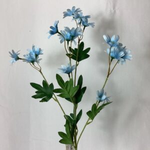 Pyrethrum Spray Pale Blue