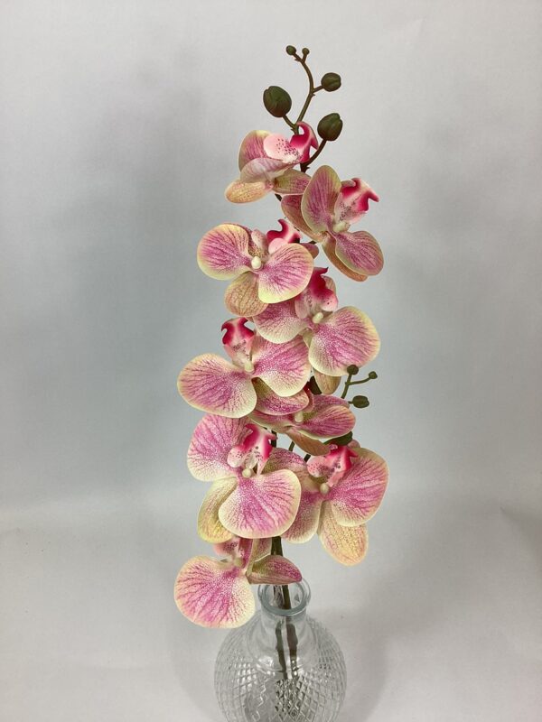 Artificial Phalenopsis Orchid Pink/Cream