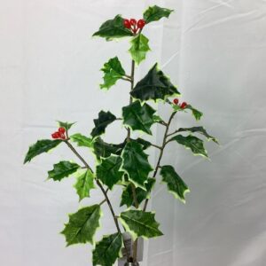 Holly SPRAY with Berries Green/Variegated
