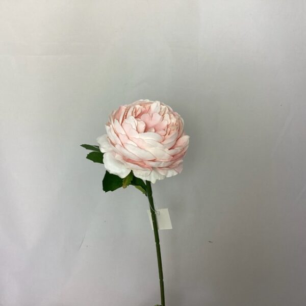 Artificial Single Ranunculus (Short Stem) Soft Pink