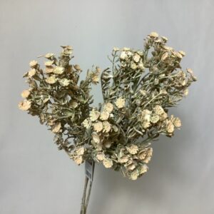 Artificial Helichrysum (BUNDLE) Beige