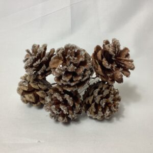 Frosted PineCones on wire (Bunch 6) Natural