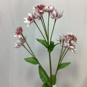 Pink Artificial Astrantia Flower Spray