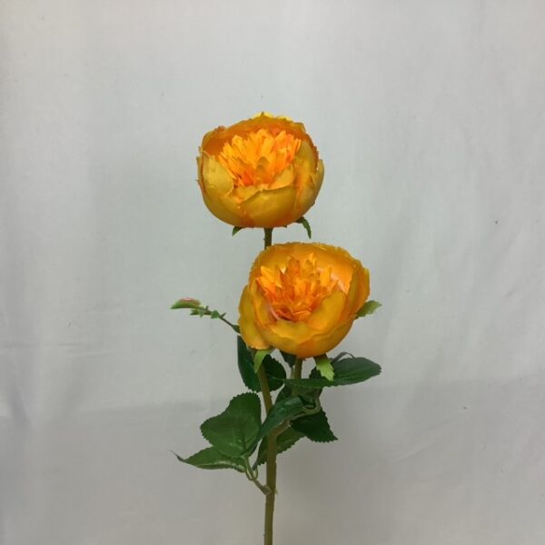 Leah Double Rose Open Yellow/Orange