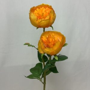 Leah Double Rose Open Yellow/Orange