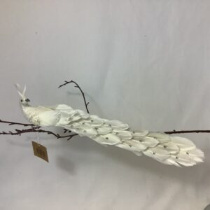 36cm Feather Peacock (on CLIP) WHITE