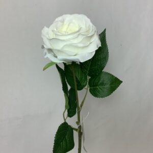 Artificial Tiana Single Open Rose Ivory