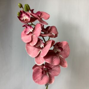 Artificial Phalenopsis Orchid Vintage Pink