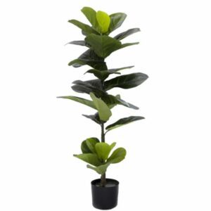 Green Artificial Pandurata Ficus Leaf Plant Tree