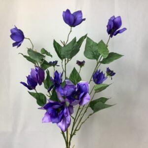 Clematis (Bundle) Lavender