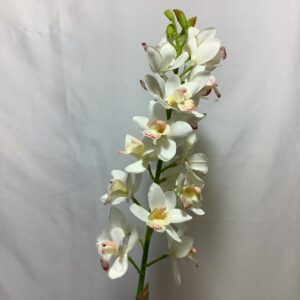 Artificial Cymbidium Orchid Cream