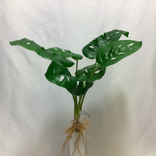 Artificial Split Philo House Plant with Roots