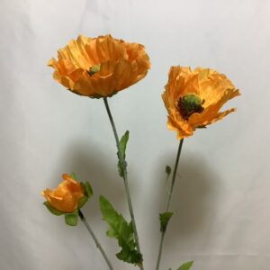 Country Poppy Spray Orange