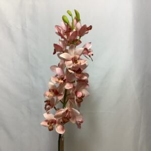 Artificial Cymbidium Orchid Pink