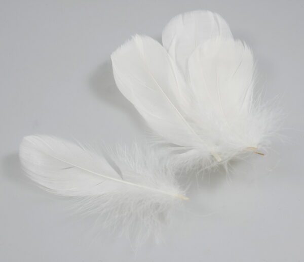 Mixed Hen Feathers (30g) Ivory