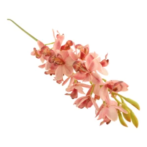 Artificial  Cymbidium Orchid Pink