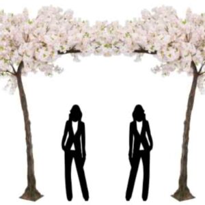 Pair 320cm (H240cm) Pink Canopy Cherry Blossom Tree (With 26 Branches)by Sincere Floral