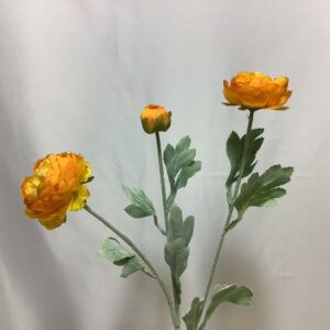Orange Ranunculus Spray x 2 Head / 1 Bud