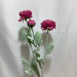 Hot Pink Cerise Ranunculus Spray x 2 Head / 1 Bud