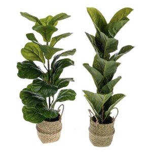 Set 2 Assorted Leaf House Plant/ Trees in Baskets Green