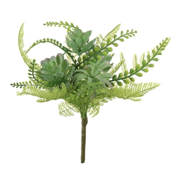 Mixed Fern / Succulent Bush Green