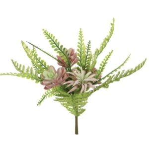 Mixed Fern / Succulent Bush Green/Pink