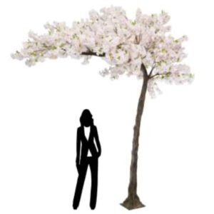 320cm (H240cm) Pink Canopy Cherry Blossom Tree (With 26 Branches)by Sincere Floral