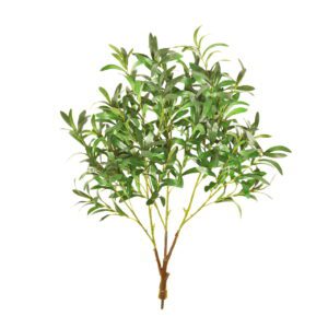85cm Ruscus Branches (Pack 10) by Sincere Floral