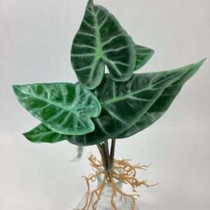 Artificial 34cm Split Philo House Plant with Roots (Labelled 25110) Green