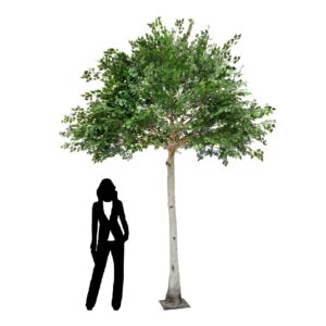 360cm Green Birch Tree (With 36 Branches) by Sincere Floral