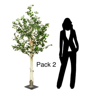 Pack 2 - 2m (200cm) Birch Tree by Sincere Floral